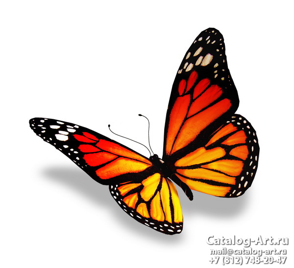  Butterflies 85
